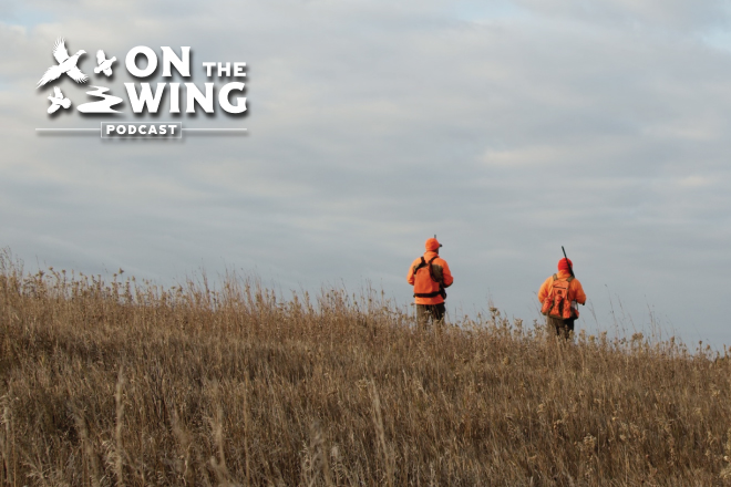 https://www.pheasantsforever.org/getattachment/d704c5ef-62a5-4fc4-ad1d-3c62aed51086/Podcast-Ep-224-How-to-Hunt-Upland-Birds-Video-Seri.aspx