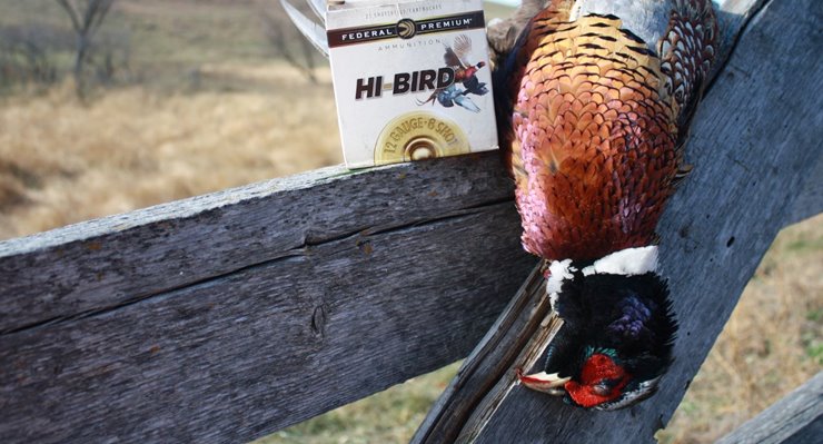 d763ad5d-d364-4bc9-955c-a812c150a74a