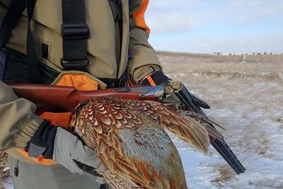 https://www.pheasantsforever.org/getattachment/d8c273ae-a51a-43e0-9bd0-99b15ddc39fb/Podcast-Ep-149-Tips-for-Late-Season-Pheasant-Hunti.aspx?maxsidesize=400