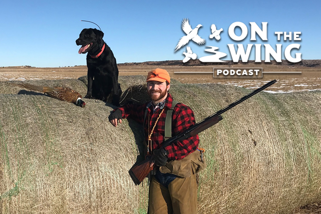 db6031cd-0608-40ae-8cd8-c10f3d834f6f