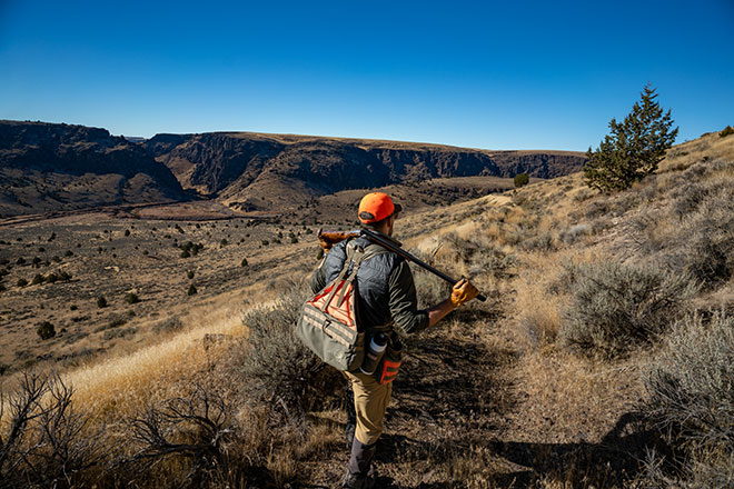 dd0dcb63-d1e2-4d02-858f-2029a6cd0618