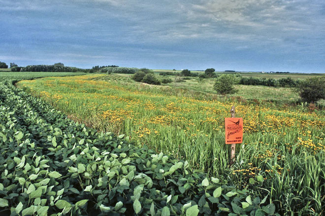 iowa natural resources