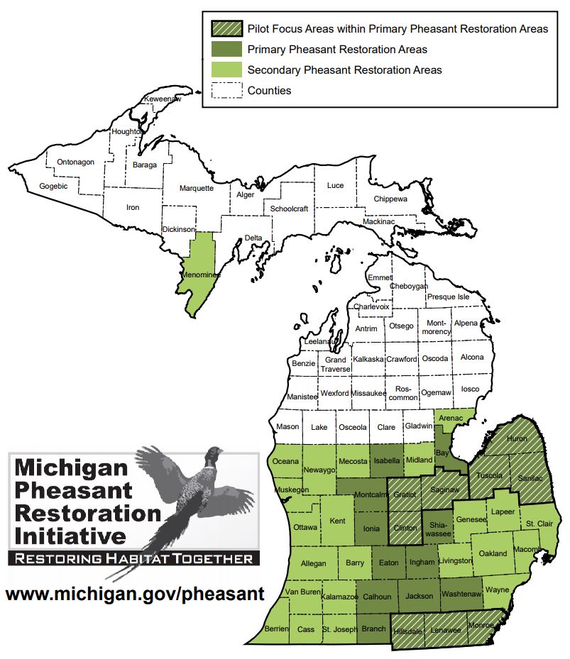 michigan public land map Michigan Pheasant Hunting Forecast