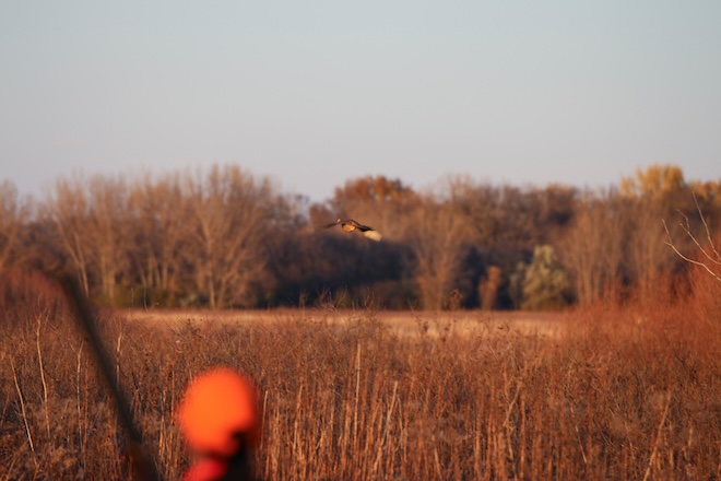 Planned Wetlands Project in Pleasant Prairie is a Win for the Village,  Landowner and The Environment