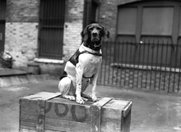 e5e22572-9261-4626-851e-eb58825e6e08