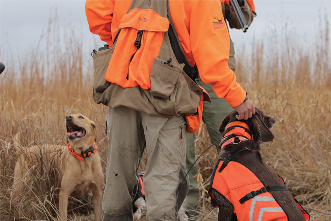 e60b291e-4504-4456-bb2a-b573cfc7fd85