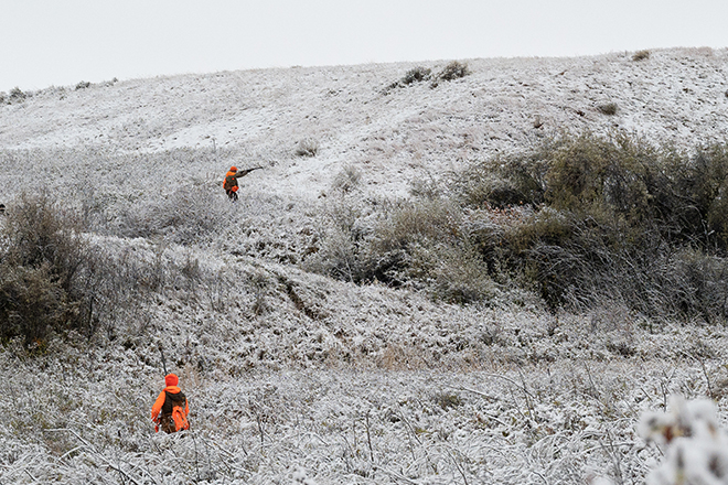 e6a90a83-03fa-4b4a-8474-a5f7b6ec6d03