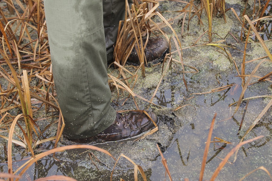 Danner sharptail shop snake boots