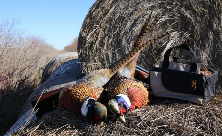 ea2722db-52e0-46af-8e52-8ff3dbf4f4a8