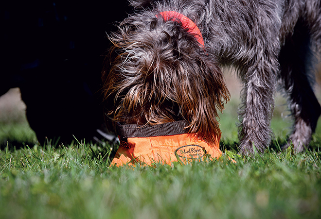 eca88000-236e-46b1-b016-b67a4fc3d0c2