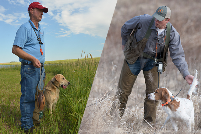 Tom dokken cheap puppy training