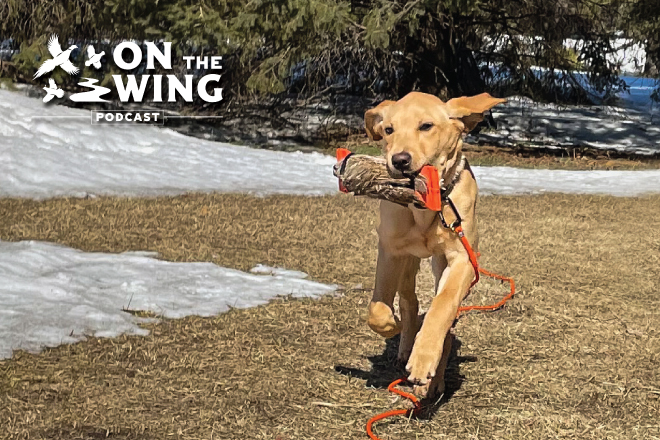 f2458f99-1508-40f7-9b9c-9633678726e6