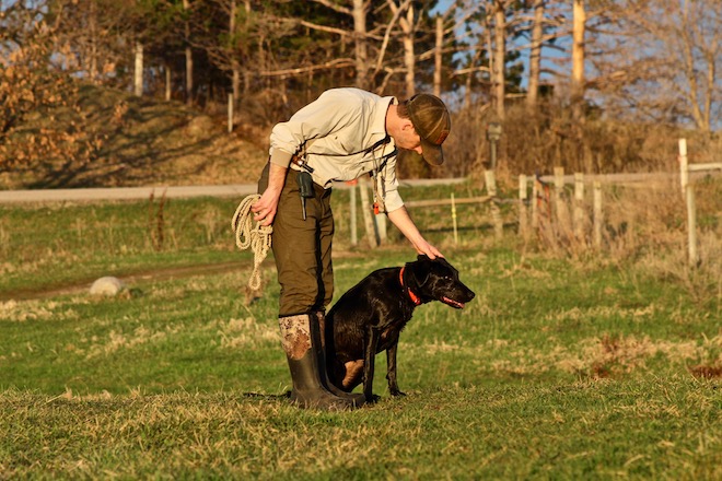 Duck store dog trainer