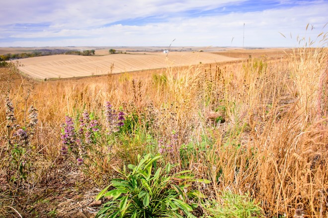 f5e3b786-868d-4b24-bdc0-b85725398743