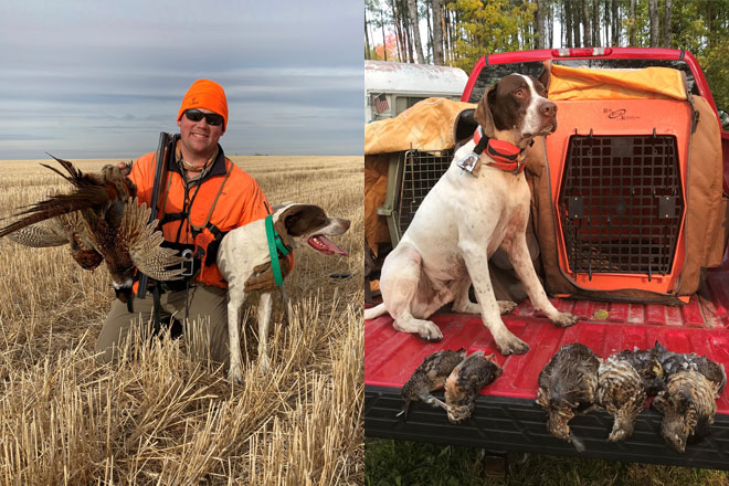 The Complete Guide to Public Land Pheasant Hunting - Gun Dog