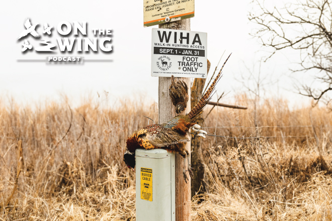 f8b41943-56fa-476e-a290-3629b4368182