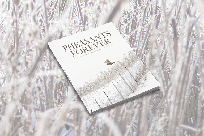 fc5ca502-4b9c-4cdc-abe0-7678f752ac64