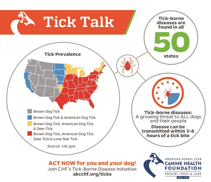 Tick-borne Diseases Infographic
