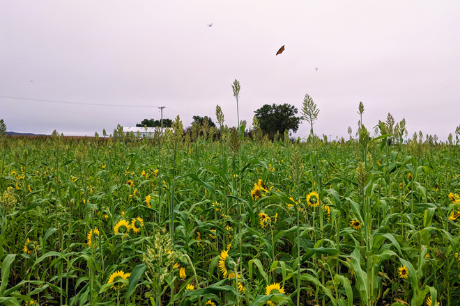 fea80c6e-12e9-4562-8ba6-779e5bc3a87e