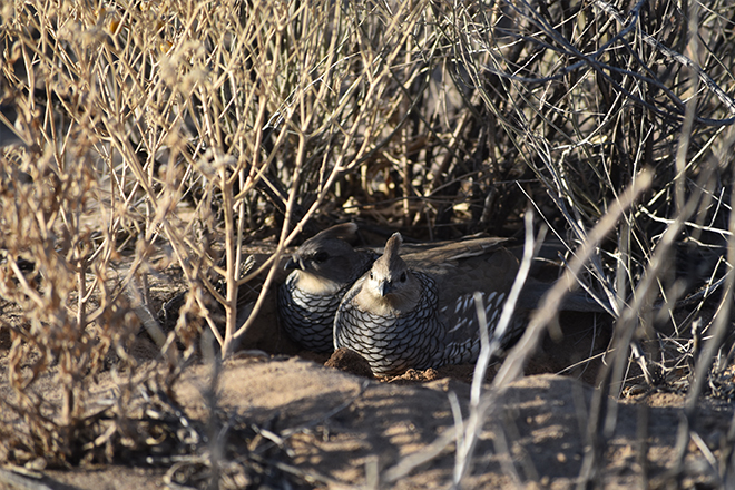 ff64f497-8916-400b-8a89-4334f89cc7c4