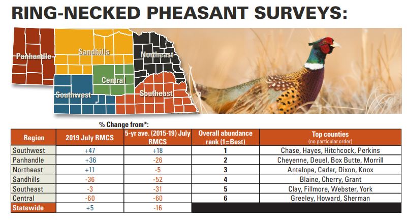 pheasant farming