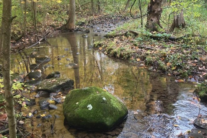 Chippewa Co receives award