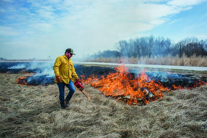 Prescribed Burn