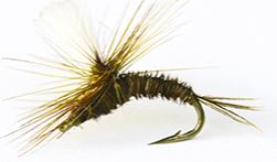 FFGene Pheasant Shoulder Feathers (Church Windows), Fly Tying