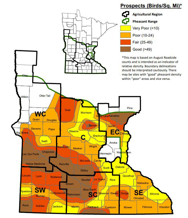 Mn Pheasant Forecast 2024 Blondy Delilah