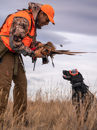 Kohtop and Pheasant