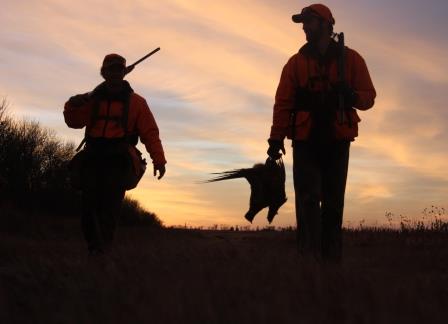 Whether hunting as an individual or as a family, the tradition of pheasant hunting is an exciting experience