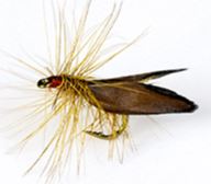 12 Flies you can Tie from Rooster Feathers