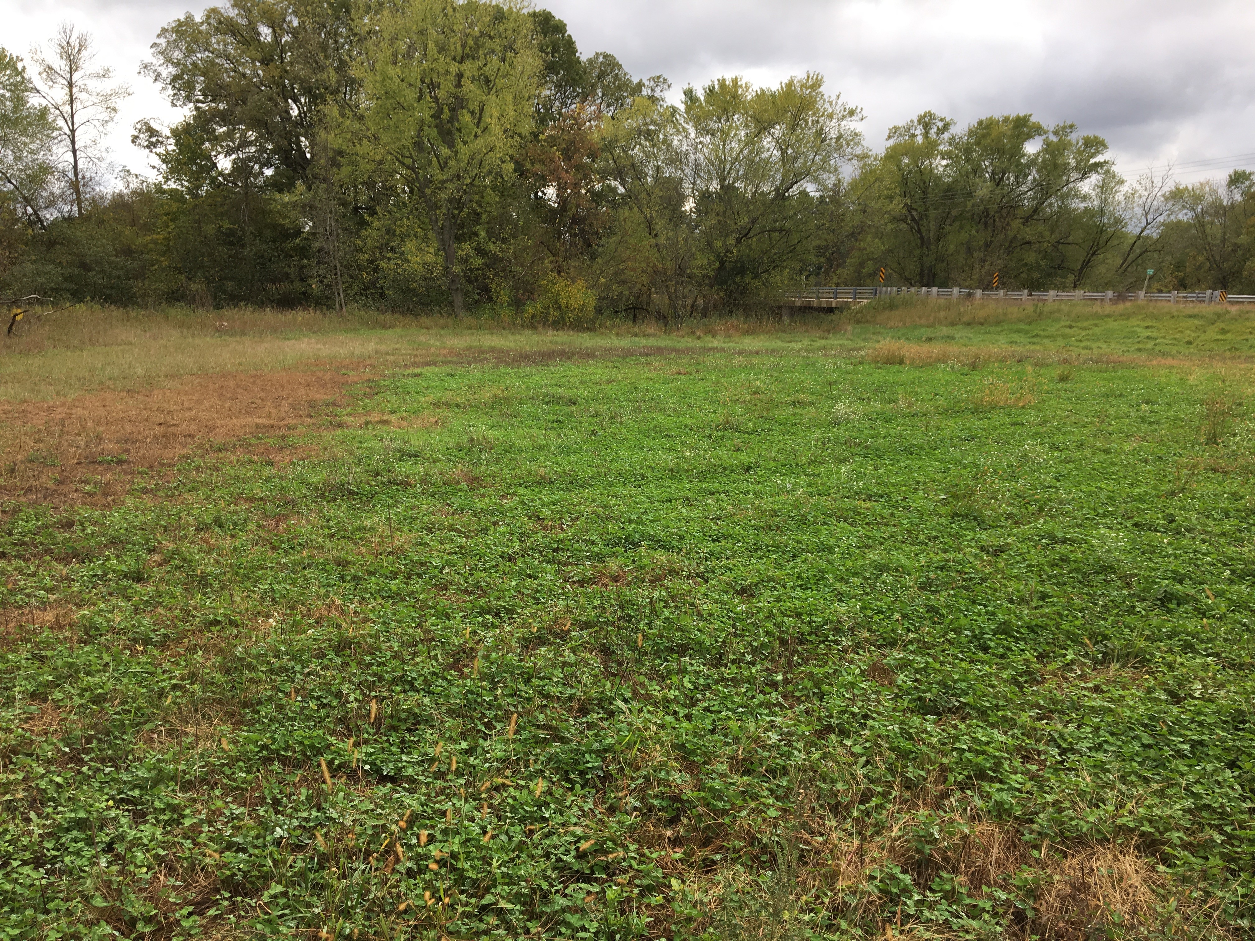 Small but unproductive areas, such as this field corner coming back to grass and forbs, provide an important mosaic of wildlife niches within a large-scale grain operation.