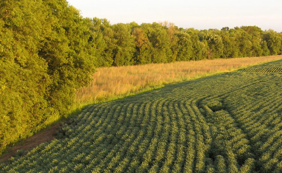 Brown Leggings And Top  International Society of Precision Agriculture