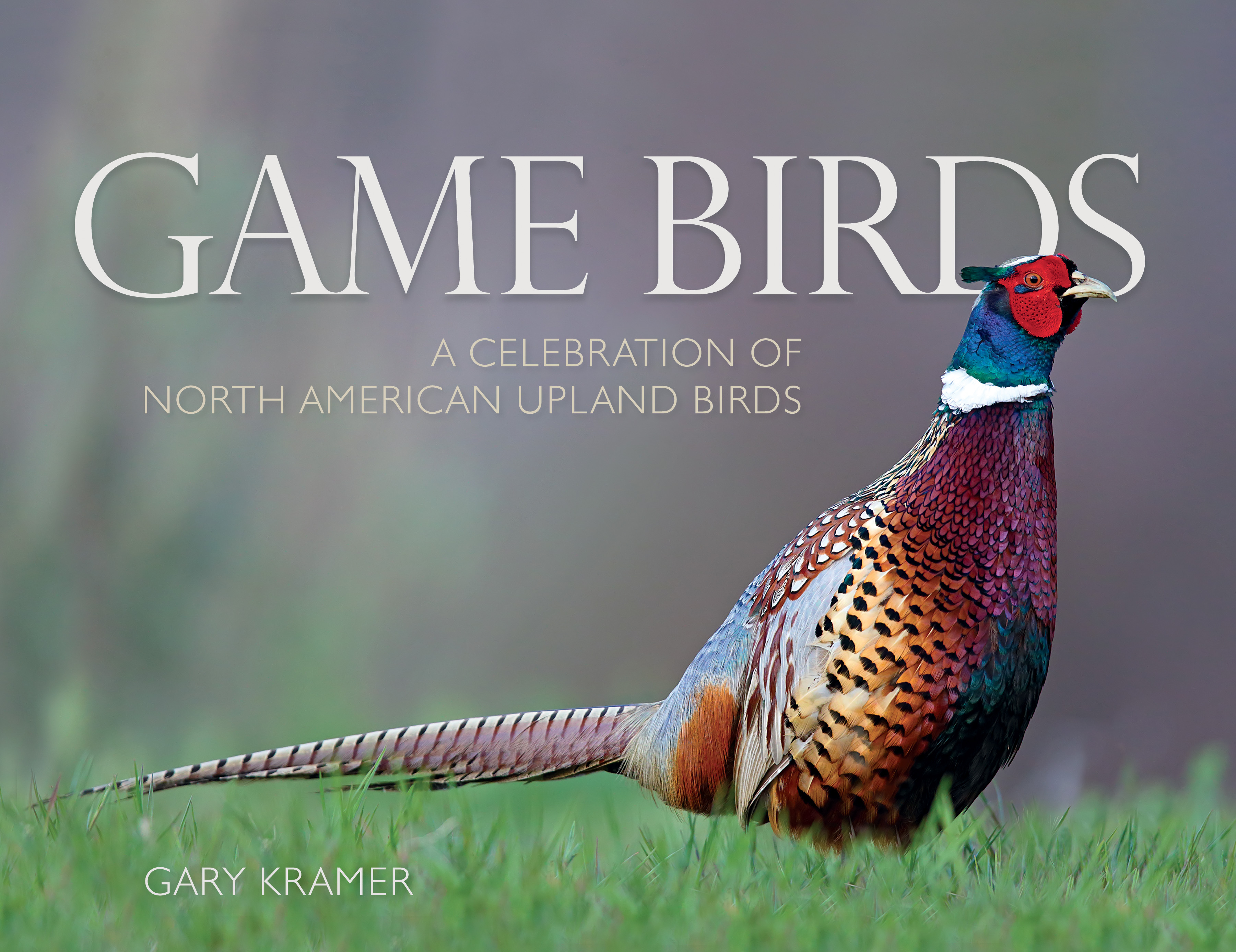 game-birds-celebration-of-north-american-birds