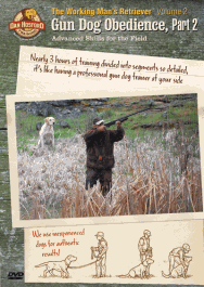 Gun Dog Obedience: Part 2