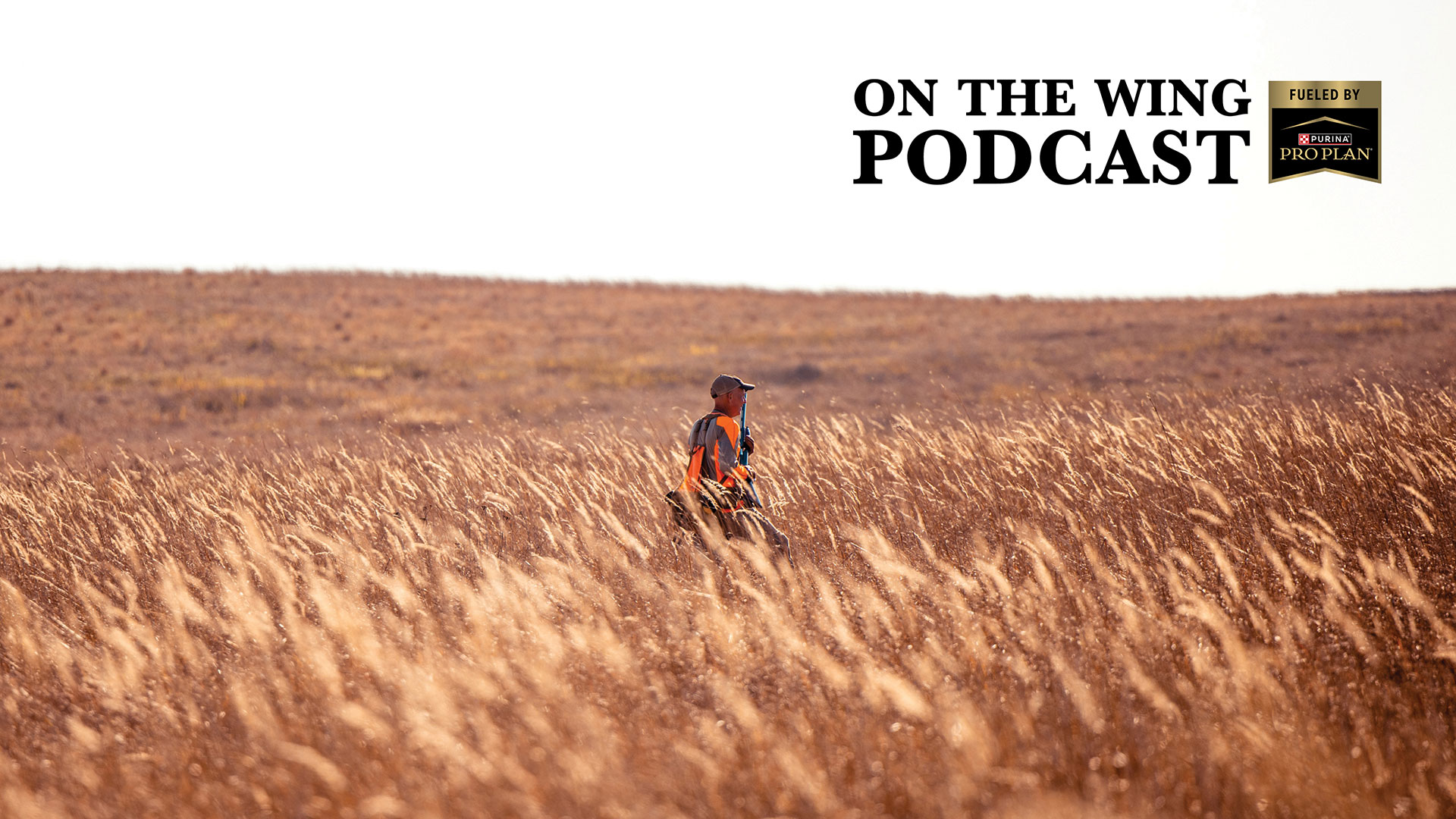 PODCAST EP. 387: Pheasant Hunting Equalizers