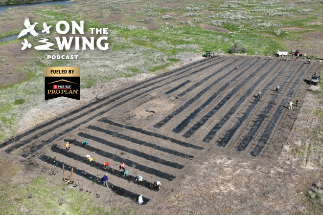 PODCAST EP. 314: Getting Hands-On Habitat with Award-Winning Volunteers