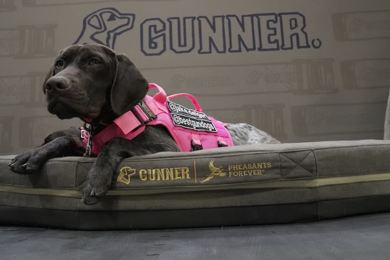 Gunner.JPG