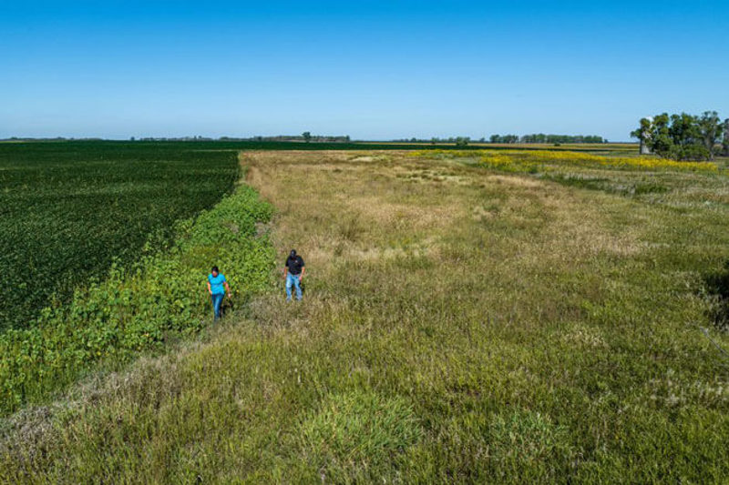 Two people walking through field split into grass and crop sections