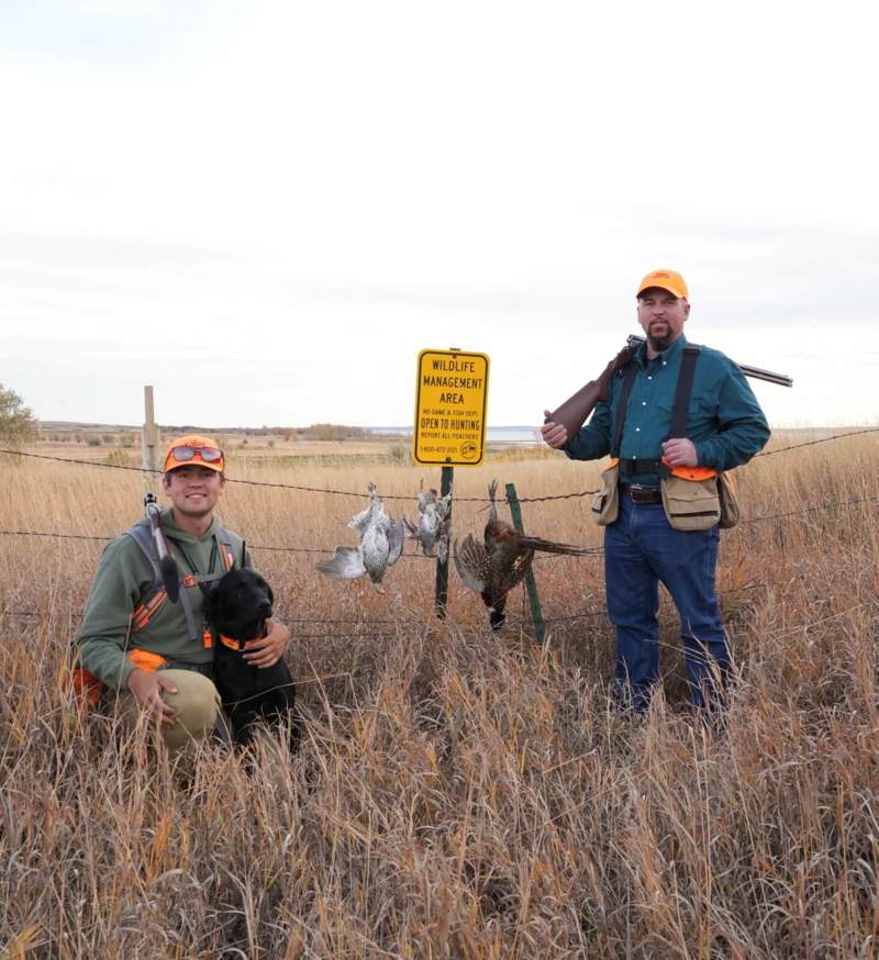 pfj-three-legs-and-spare-hunters-bird-dog-fence.jpg