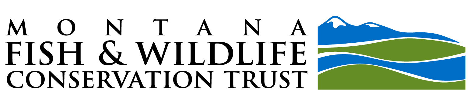 mtfwct-logo-1544x347.png