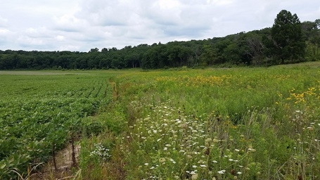 Policy Update: House Ag Committee Advances 2026 Farm Bill Proposal