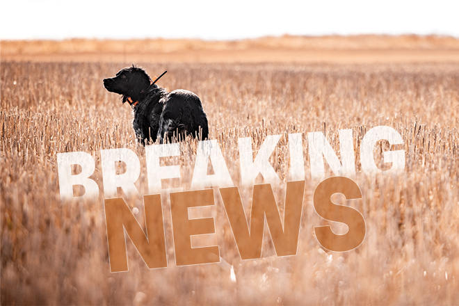Pheasants Forever and Quail Forever Applaud House Farm Bill Passage, Urge Senate Action