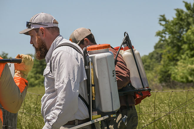 DIY-Tips-for-Knocking-Back-Woody-Invasives.jpg