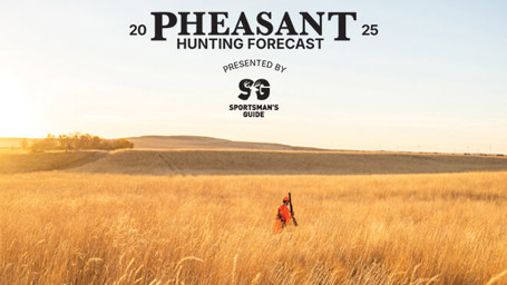 Pheasant Hunting Forecast 2025