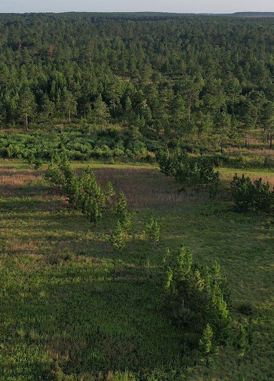 qf-permanent-habitat-protection-programs.jpg