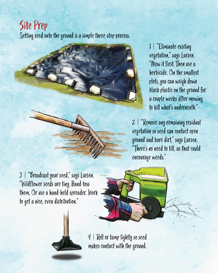 pint-sized-pollinator-plot-4.jpg