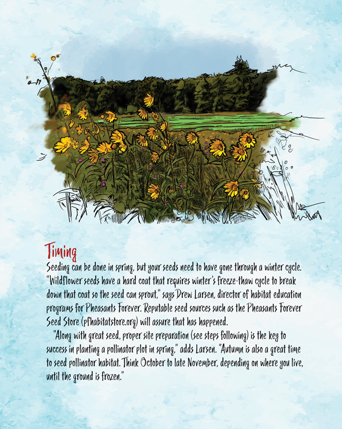 pint-sized-pollinator-plot-3.jpg