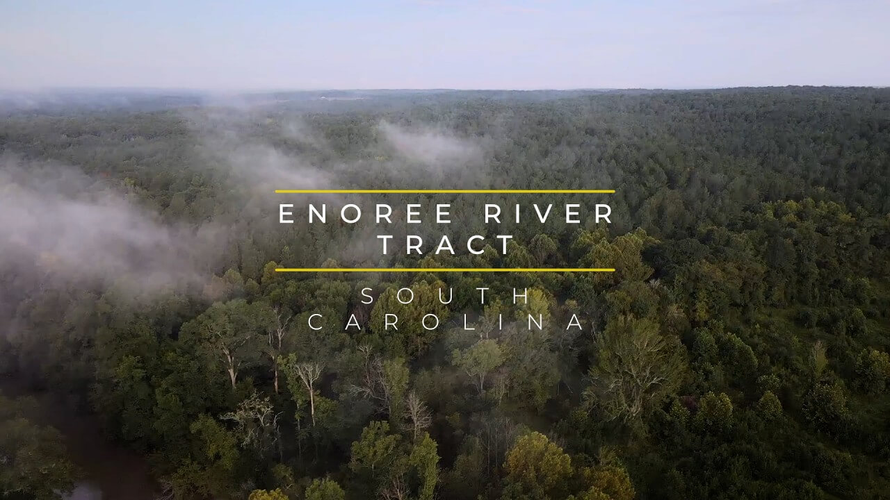 Habitat & Access: South Carolina's 264-Acre Enoree River Tract